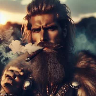 TheVikingNomad_'s profile picture