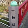えんあ～る 的头像
