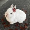 짱짱's profile picture