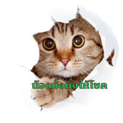 Regi_2001's profile picture