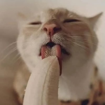 FWB_prachin's profile picture