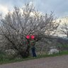 Profilbild von Shookaw