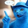 🧬なめ茸さん💊's profile picture
