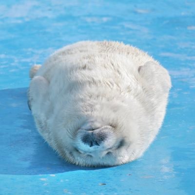 parasocialxx's profile picture