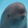 Patrick's profile picture