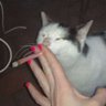 ciggot🚬 的头像