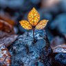 Фото профиля المتوكل