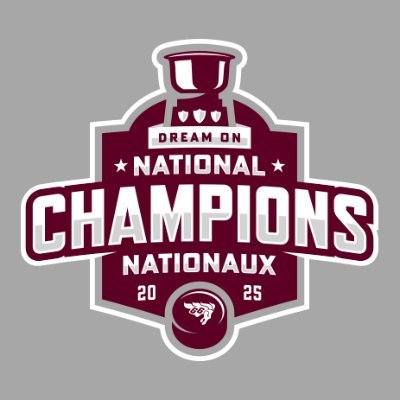 uOttawa Men's Hockey | Hockey masculin's profile picture