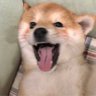 这里是方方吖 的头像