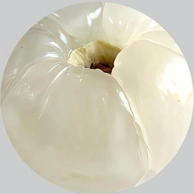 珠's profile picture