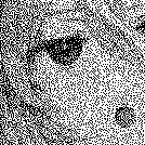 nakano_ffffff's profile picture