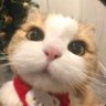 F's profile picture
