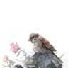 Profilbild von 山本蟻