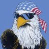 Noah🇩🇪🇺🇸's profile picture