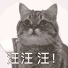 瓜皮 profil fotoğrafı