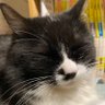 えくれーる profil fotoğrafı