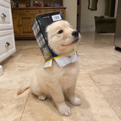 หม่าม๊าน้องเยม◞✿ッ💘's profile picture