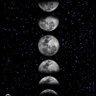 Фото профиля Moon