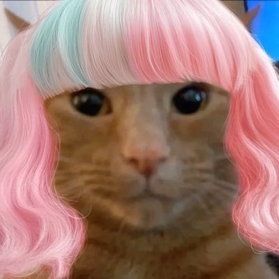 ddiddirere's profile picture