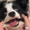 今天吃什么呢's profile picture
