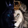 Oseas Baj profil fotoğrafı