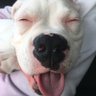 Dave's profile picture