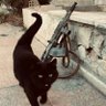hit1776ler profil fotoğrafı