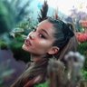 ꕤ's profile picture