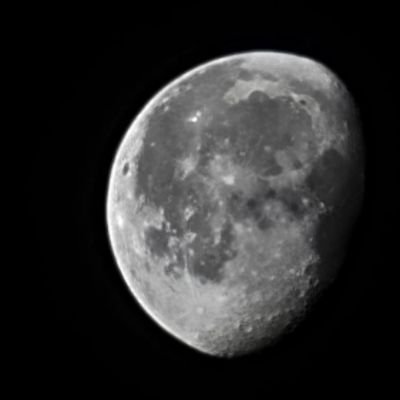AbwLy58278's profile picture