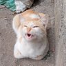 M. 的头像
