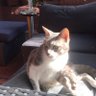 N profil fotoğrafı