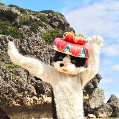 mugithecat's profile picture