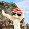 Profilbild von むぎ(猫)音楽活動休憩中
