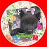 🖇️すま.すまりー's profile picture