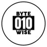 Byte Wise 010's profile picture