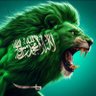 Profilbild von عابر طريق..