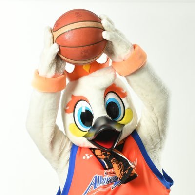 【公式】アルード's profile picture