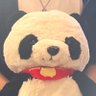 ぱんだ🐼🐾 的头像
