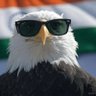 Фото профиля TheSarcasticPatriot🇮🇳