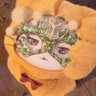 Profilbild von ham🐹ハム