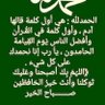 Ammaroo Saleh's profile picture