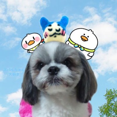 Balon🚑スペースアヒージョ🚑スバ友🚑's profile picture