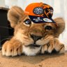 Фото профиля niaa ⋆˚꩜。 🦁