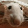 Fi's profile picture
