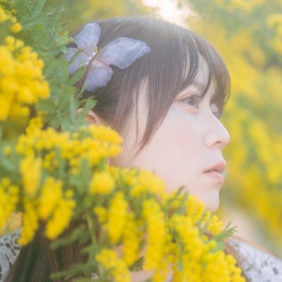 U_Koyori's profile picture