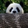 Profilbild von Yun