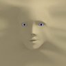 卵の殻 profil fotoğrafı