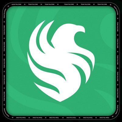 Falcons Esports's profile picture