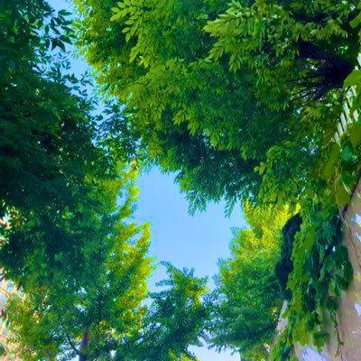 nanan2_twt's profile picture