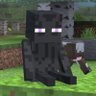 Frienderman 的头像